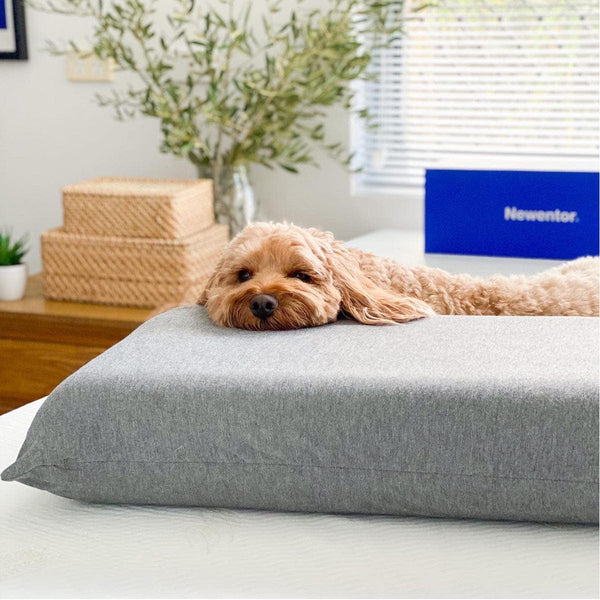 orthopedic pillow australia
