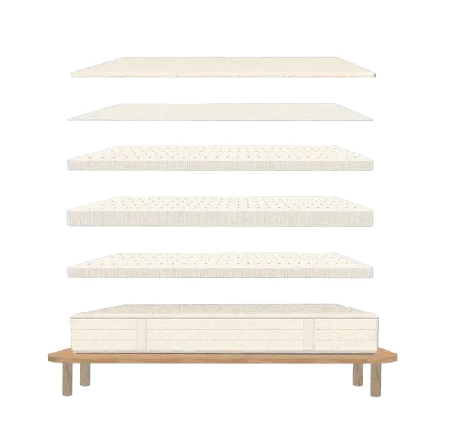 peace lily latex mattress construction