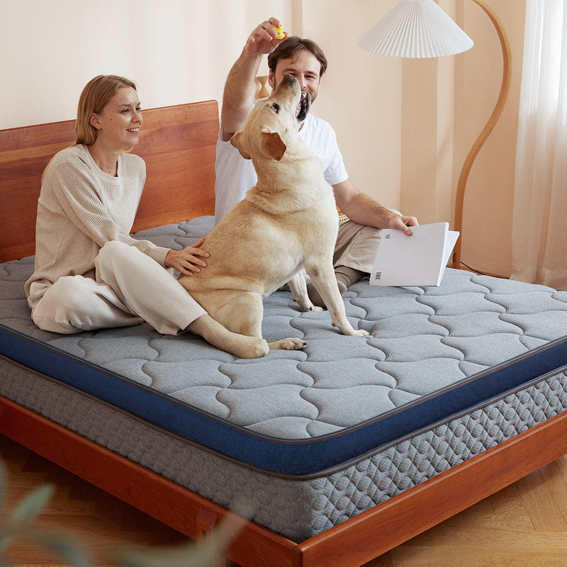 newentor hybrid mattress
