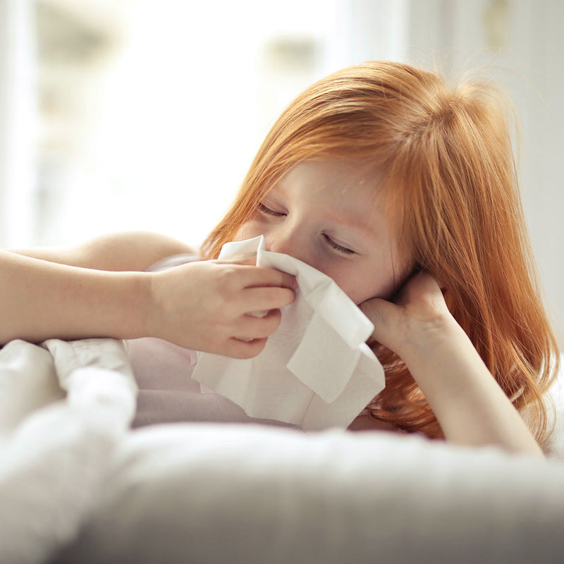 How Hypoallergenic Beddings Can Help You Sleep