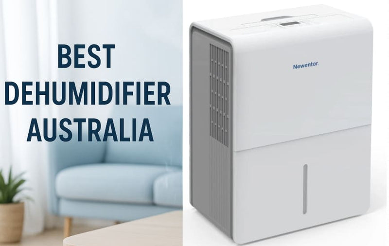 Best Dehumidifiers in Australia for 2026: Your Ultimate Guide