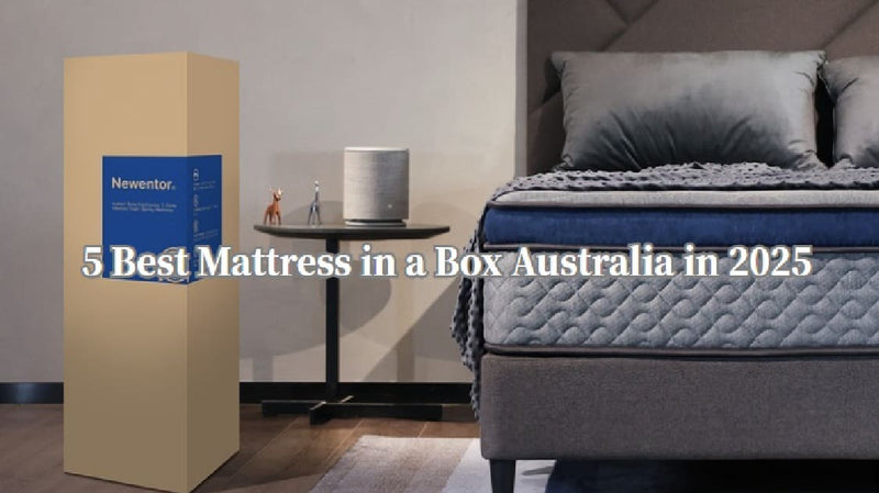 5 Best Mattresses in a Box Australia in 2025【Buying Guide】