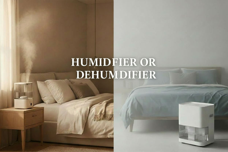 How Do I Know If I Need Humidifier or Dehumidifier?