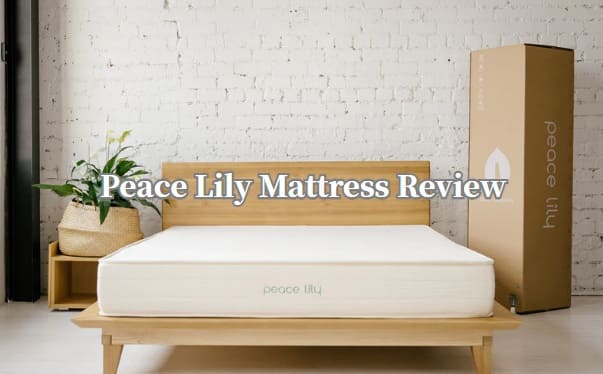 peace lily mattress review