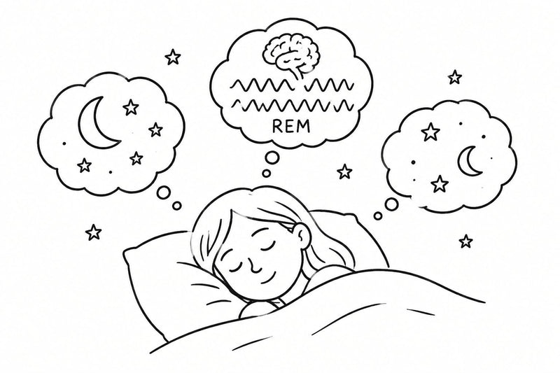 rem sleep