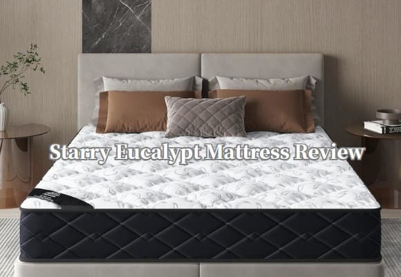 2025 Starry Eucalypt Mattress Review: Tested by Expert