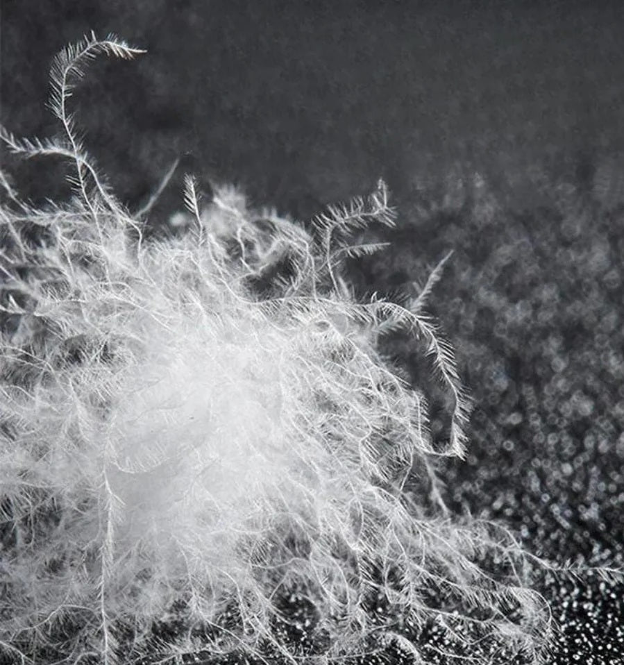 cloudlux pillow construction