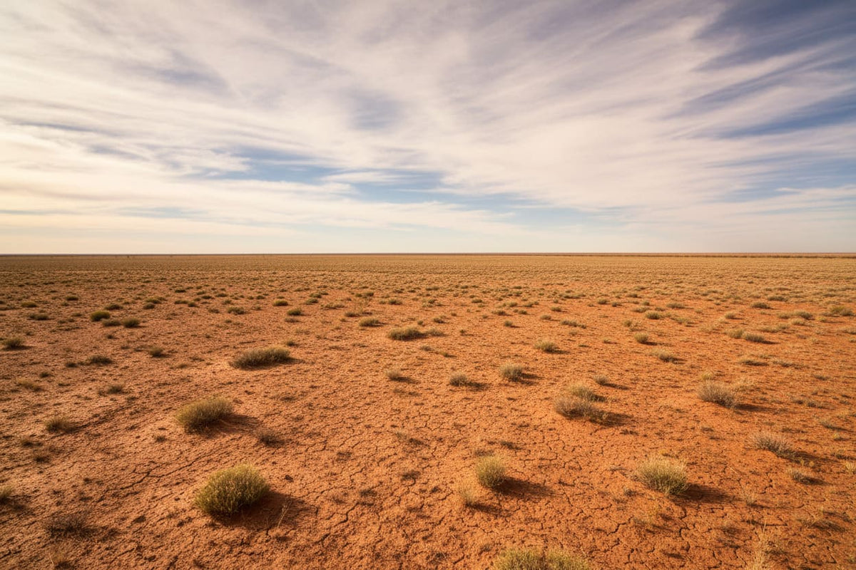 oodnadatta, south australia