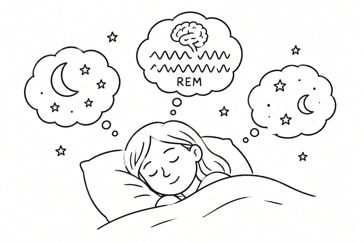 rem sleep
