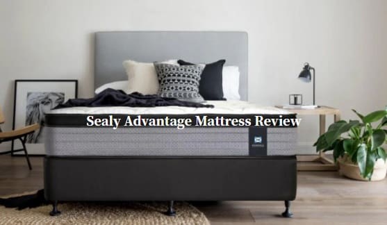 sealy advantage mattress review