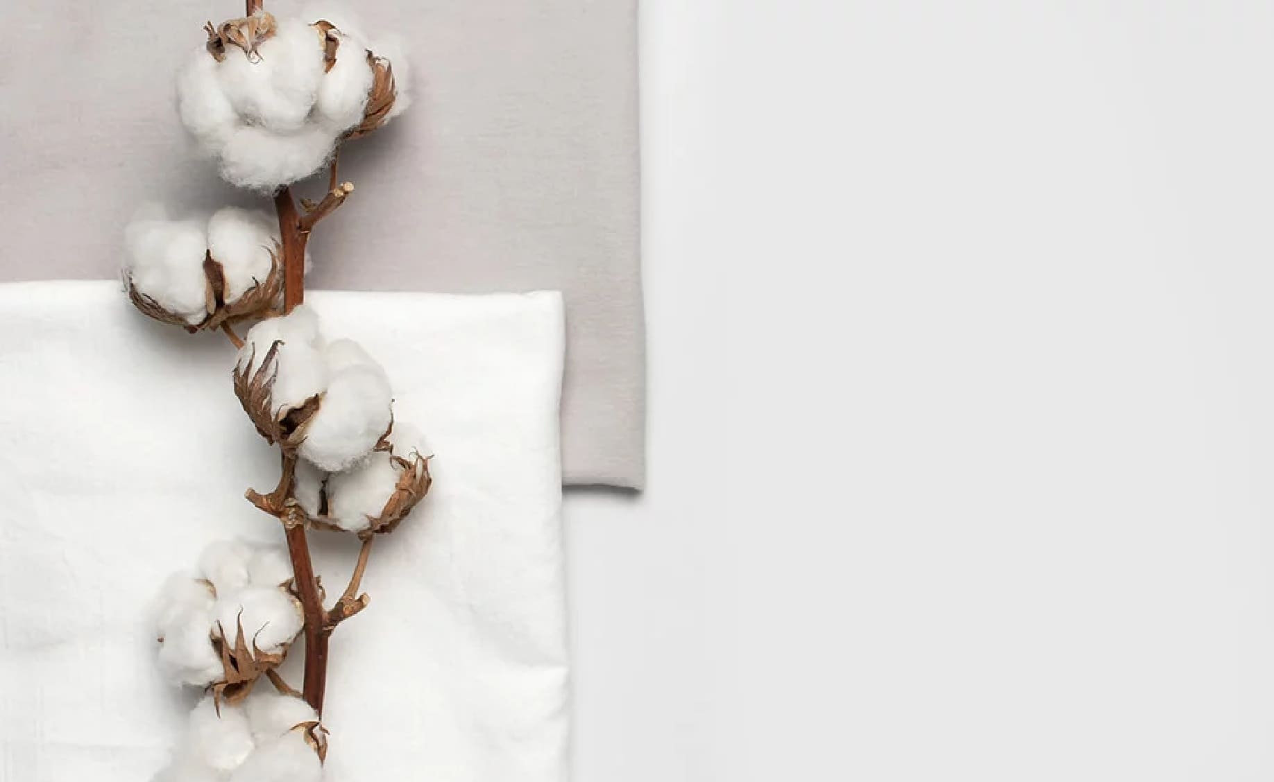 what is cotton fabric