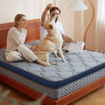 newentor hybrid mattress